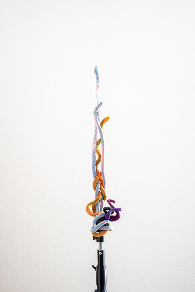 Leo Heinik – Rankenornament, 2021