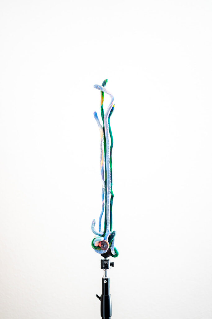 Leo Heinik – Rankenornament, 2021